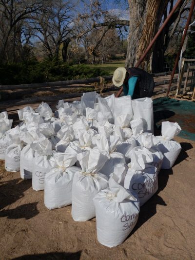 bagged sifted compost